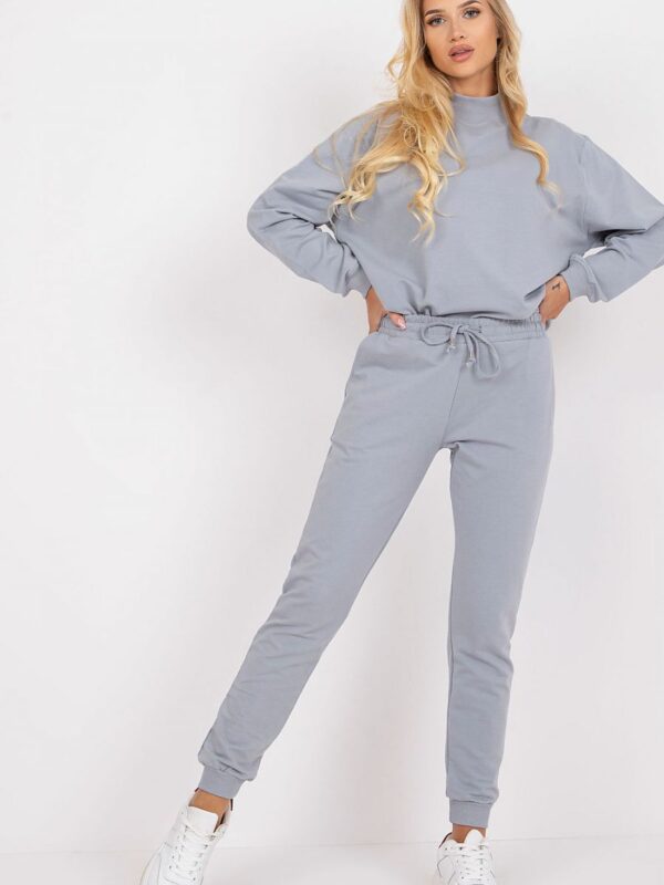 Spodnie Dresowe Model AP-DR-A-003 Grey - BFG