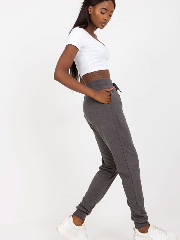 Spodnie Dresowe Model B-005.05 Dark Grey - BFG - obrazek 2