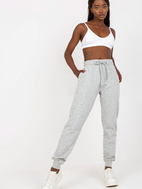 Spodnie Dresowe Model B-005.04X Grey - BFG